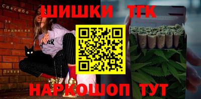 дживик Славгород